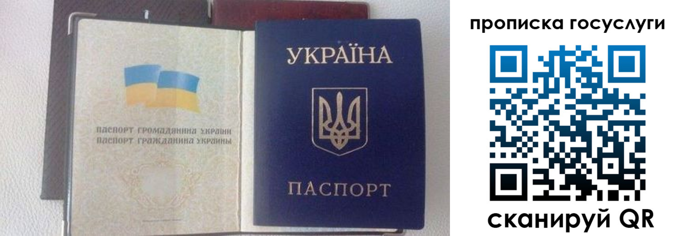 временная регистрация недорого в Моршанске